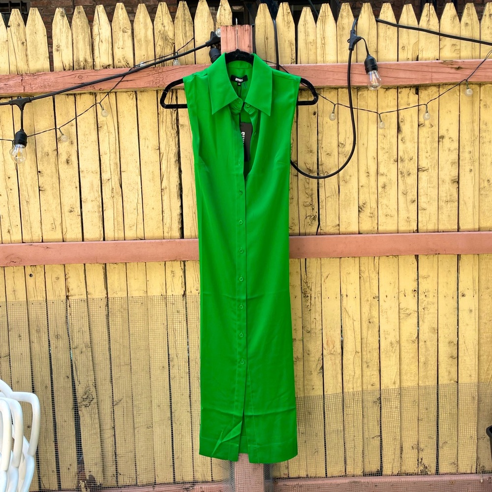 Apparis vegan silk dress NWT